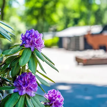 Douglas By Interhome 펜션 헨덜루