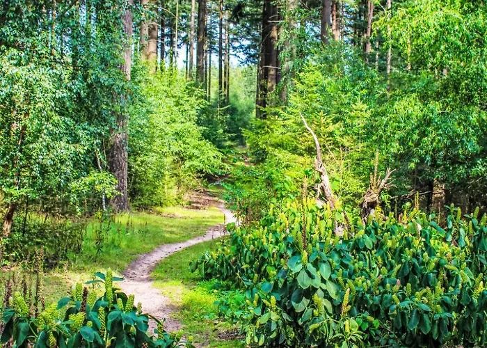 Douglas By Interhome *