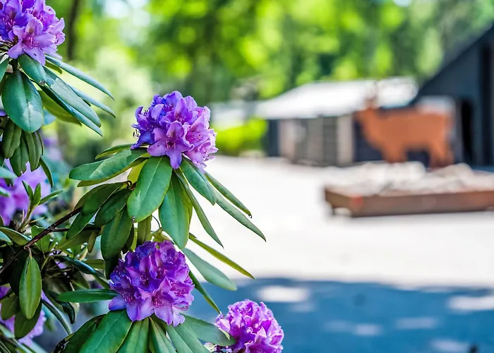 Douglas By Interhome Дом отдыха Хундерло